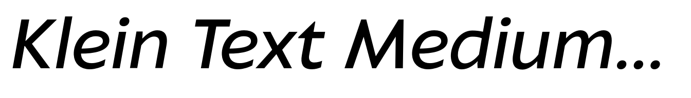 Klein Text Medium Italic